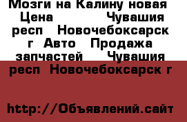 Мозги на Калину новая › Цена ­ 6 000 - Чувашия респ., Новочебоксарск г. Авто » Продажа запчастей   . Чувашия респ.,Новочебоксарск г.